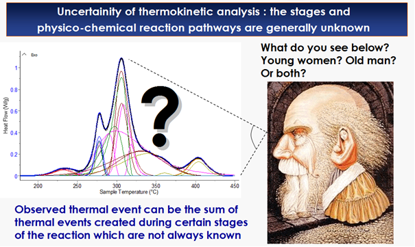 Uncertainity of thermokinetics analysis.
